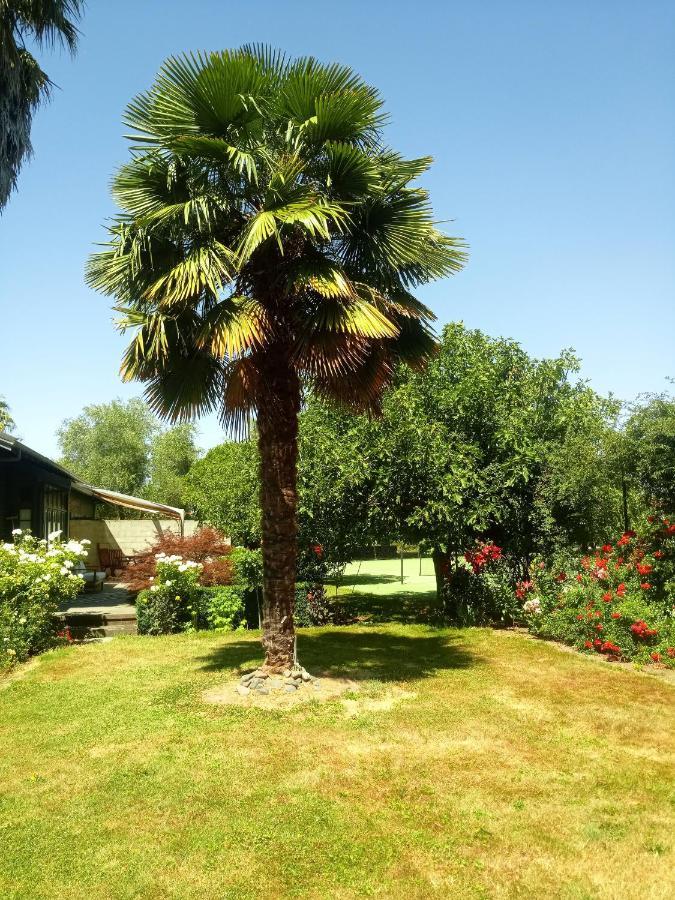 Irongate Retreat Bed & Breakfast เฮสติงส์ ภายนอก รูปภาพ